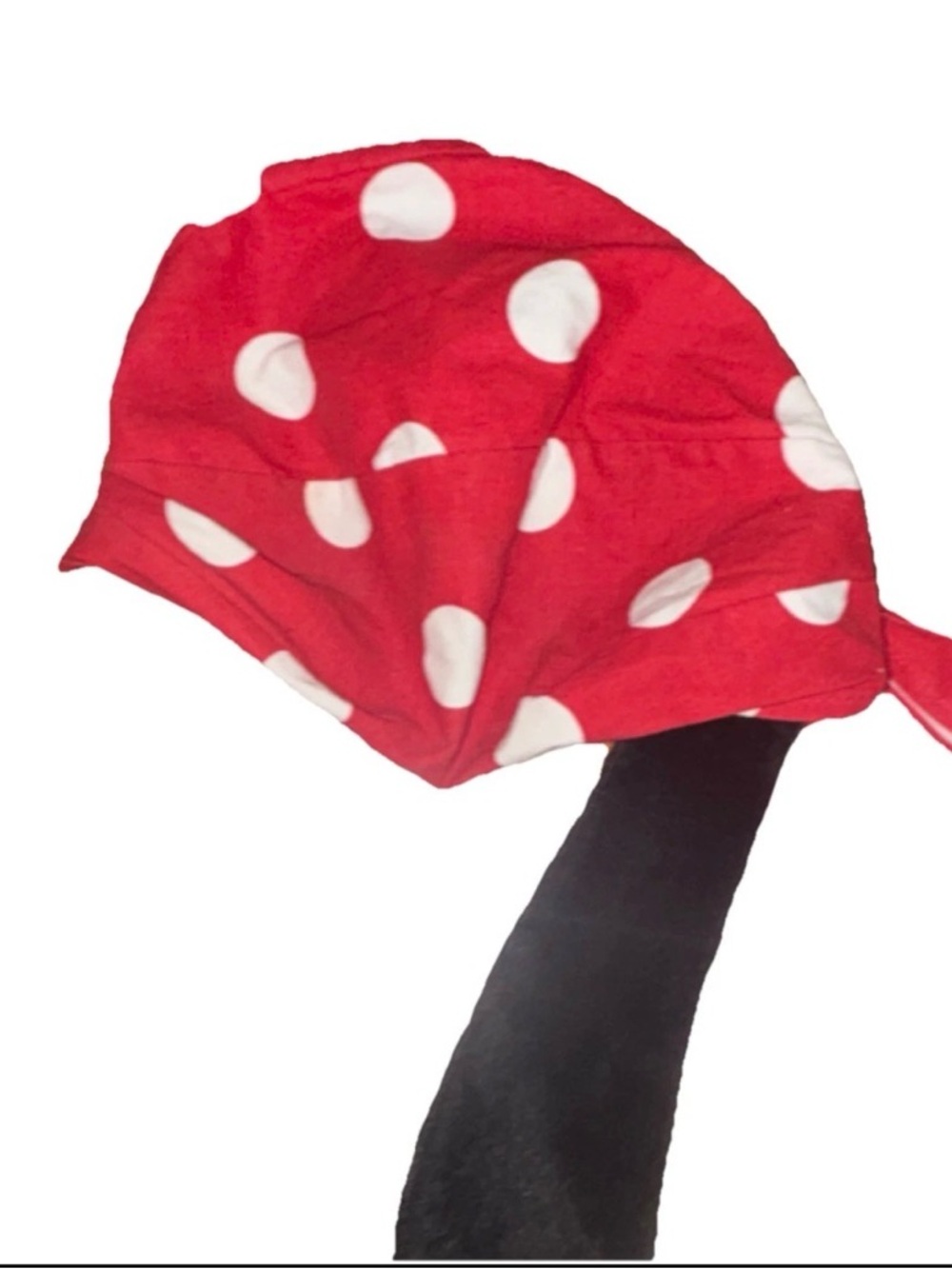 Goofy Ears - Picture 3 of 4